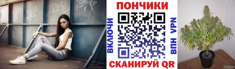 Названия наркотиков Муром АМФЕТАМИН  Cocaine  Меф  Бошки Шишки  ГАШ  Alpha-PVP 