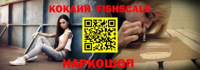мдпв Камышлов