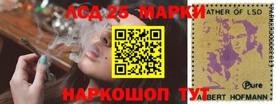 мдпв Камышлов