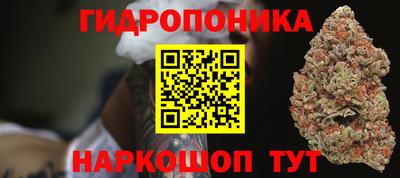 скорость Кандалакша
