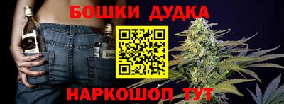 мдпв Камышлов