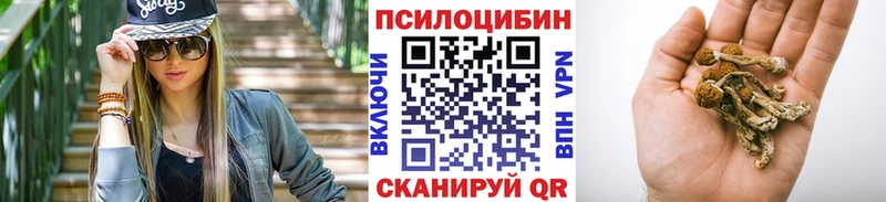 как найти наркотики  darknet формула  Галлюциногенные грибы GOLDEN TEACHER  Муром 