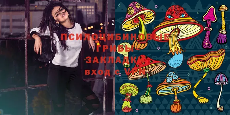 Галлюциногенные грибы MAGIC MUSHROOMS  Муром 