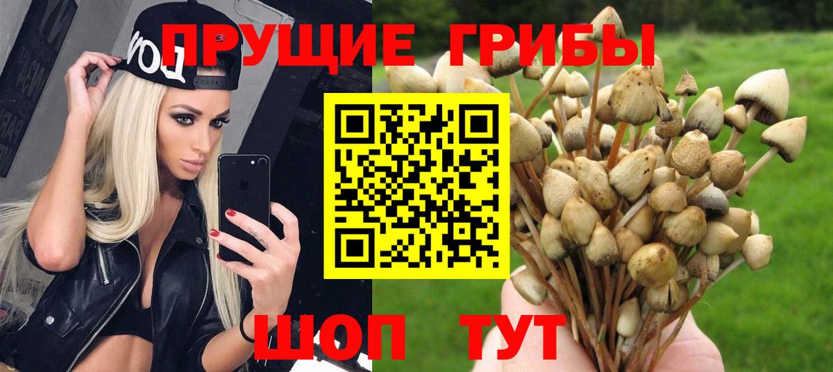 Галлюциногенные грибы мицелий Муром