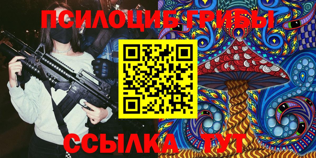 Муром  Галлюциногенные грибы Magic Shrooms  закладки  Вход с VPN 